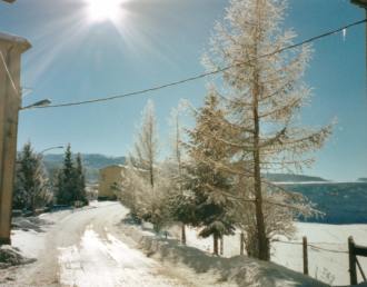 Le foto di Terranera - Fine inverno...